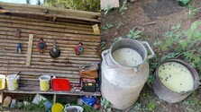 FOTO: Veterinári odhalili ilegálny salaš s katastrofálnymi podmienkami. Klienti skončili po konzumácii v nemocnici