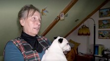 V škole ju už nenašla: Pestúnka odmieta údajné týranie, pre ktoré jej úrady zobrali zverené dieťa. Prípad skončil na súde