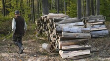 Znečistené ovzdušie skracuje život Slovákov v priemere o viac ako rok. Analýza identifikovala najrizikovejšie regióny