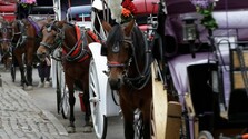 Splašený kôň s kočom v newyorskom Central Parku spôsobil nehodu, 18-ročný turista pád neprežil