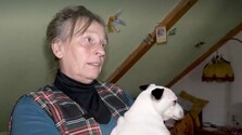 V škole ju už nenašla: Pestúnka odmieta údajné týranie, pre ktoré jej úrady zobrali zverené dieťa. Prípad skončil na súde