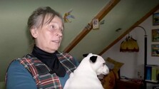 V škole ju už nenašla: Pestúnka odmieta údajné týranie, pre ktoré jej úrady zobrali zverené dieťa. Prípad skončil na súde