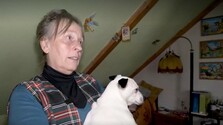 V škole ju už nenašla: Pestúnka odmieta údajné týranie, pre ktoré jej úrady zobrali zverené dieťa. Prípad skončil na súde