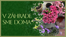 VZahradeSmeDoma_260619.png