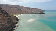 Mexiko – Baja California – plávanie so žralokmi, rajami, kosatkami a uškatcami