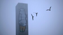 Austrálsky umelec vyliezol na vežu mosta, na ktorú nakreslil obrovského vtáka. Žiadal zníženie daní a sendvič