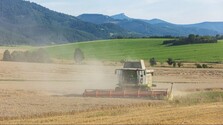 Slovenskí pestovatelia očakávajú výrazne nižšiu úrodu obilnín. Najviac stratí pšenica, jačmeň a repka