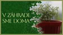 VZahradeSmeDoma_260703.png