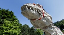 Do bratislavskej zoo sa vráti obľúbená atrakcia. Lákadlom sezóny sú aj zvieracie prírastky