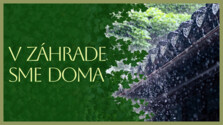 VZahradeSmeDoma_260710.png