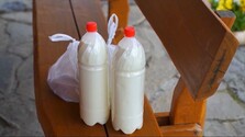 Horúčavy menia mliečne výrobky na nebezpečnú potravinu. Odborníci radia, ako predísť zdravotnému riziku