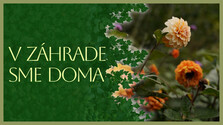 VZahradeSmeDoma_260717.png