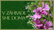 VZahradeSmeDoma_260724.png