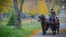 Na Sicílii končia turistami obľúbené konské povozy. Po rokoch kritiky za hrozné podmienky sa stratia z ulíc