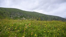 Na Slovensku zarastá 300-tisíc hektárov pôdy. Farmárom by mohla pomôcť zvládnuť sucho či vrátiť do krajiny zdroje pitnej vody