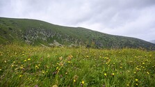 Na Slovensku zarastá 300-tisíc hektárov pôdy. Farmárom by mohla pomôcť zvládnuť sucho či vrátiť do krajiny zdroje pitnej vody