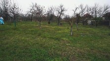 Masarykovo (Repríza)