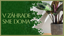 VZahradeSmeDoma_260814.png