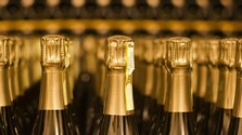 Extrémne horúčavy menia v Taliansku produkciu šumivých vín, zber prebieha skôr a v noci