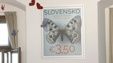 Ako vznikla najkrajšia slovenská známka? Príbeh jasoňa červenookého odhaľuje výstava