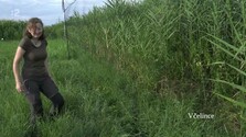 Mokraď (08. 05. 2020) (Repríza)