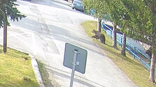 Medveď napadol staršiu ženu v centre Blatnice za bieleho dňa. Vybehol na ňu a poškrabal ju na tvári