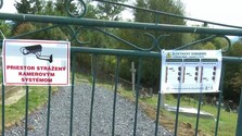 Na Liptove hlásia najvyšší výskyt medveďa hnedého na Slovensku. Jedna z obcí sa rozhodla konať