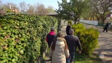 Olko (Repríza)