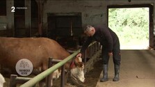 Farmárska revue (12. 09. 2026) (Repríza)