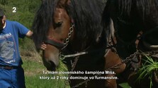 Dobrý deň, Patria (rusínsky) (08. 09. 2026)