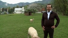 Slovo (12. 05. 2024) (Repríza)
