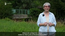 Príbehy kamennej krajiny / Kőországi történetek (14. 08. 2026)