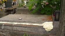 Nešťastie na košickom cintoríne: Na seniora zaútočili sršne, napriek zásahu záchranárov neprežil