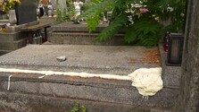 Nešťastie na košickom cintoríne: Na seniora zaútočili sršne, napriek zásahu záchranárov neprežil