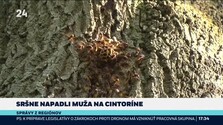 Správy z regiónov (17. 09. 2026)