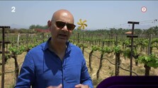 India - nová éra vinárstva (Repríza)
