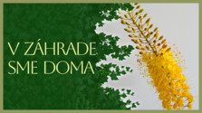 VZahradeSmeDoma_260918.png