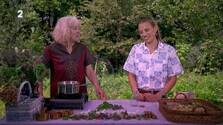 Herbárium (20. 09. 2026)