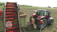 Farmárska revue (20. 09. 2026)