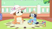Bluey (18. 09. 2026) (Repríza)