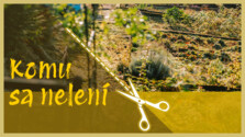 KomuSaNeleni_260905.png