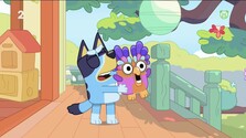Bluey (25. 09. 2026) (Repríza)