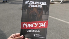 Túlavé psy sú v Lomničke dlhodobým problémom. Preventívna akcia učila deti rozoznať hranicu medzi starostlivosťou a týraním