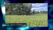 Potrebujú lúky človeka?