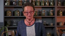 Herbárium (03. 10. 2026)