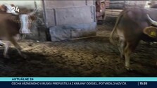 Aktuálne 24 (05. 10. 2026)