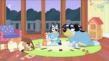 Bluey (02. 10. 2026) (Repríza)