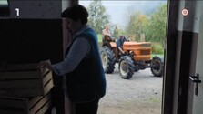 Extrémy - 2. časť (Repríza)