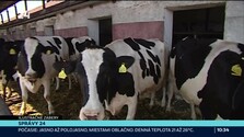 Správy 24 (07. 10. 2026)