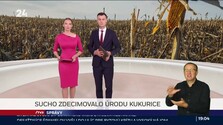 Správy "N" (03. 10. 2026)